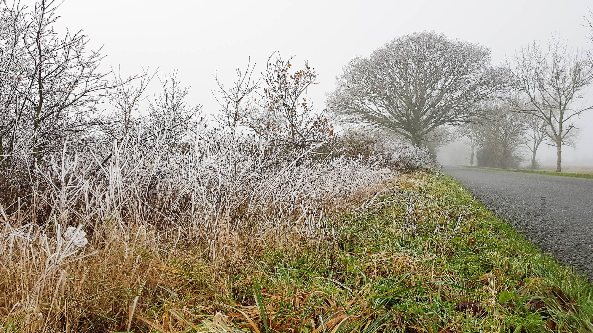 Walsham le Willows A thriving Suffolk village